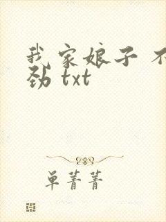 我家娘子 不对劲 txt