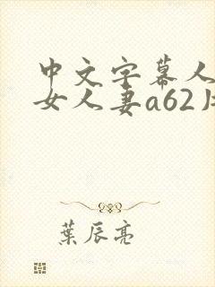 中文字幕人妻熟女人妻a62片
