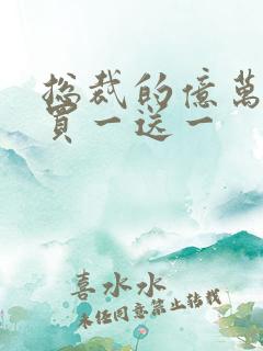 总裁的亿万老婆买一送一