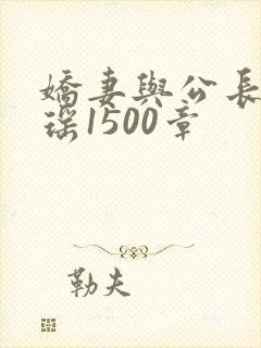 娇妻与公长篇瑶瑶1500章