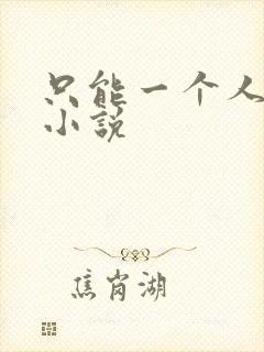 只能一个人看的小说