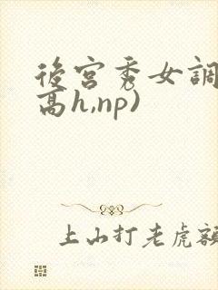 后宫秀女调教(高h,np)