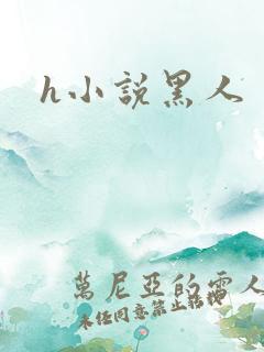 h小说黑人