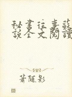 秘书往事苏婉小说全文阅读