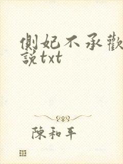 侧妃不承欢 小说txt