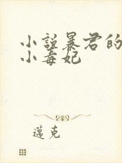 小说暴君的替嫁小毒妃