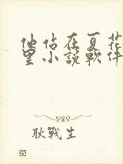 他站在夏花绚烂里小说软件