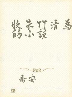 收朱竹清为朱奴的小说