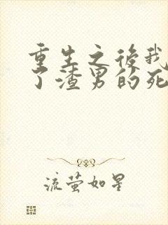 重生之后我嫁给了渣男的死对头短剧