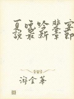 夏晚吟裴宴白小说最新章节更新内容