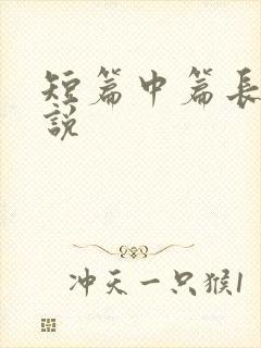 短篇中篇长篇小说