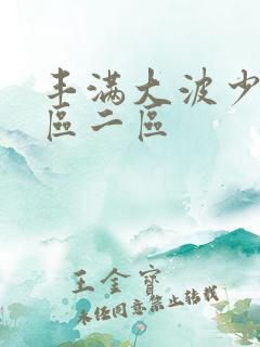 丰满大波少妇一区二区