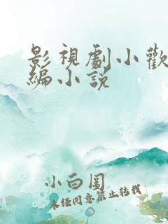 影视剧小欢喜改编小说