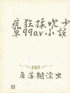 疯狂揉吮少妇嫩草99av小说