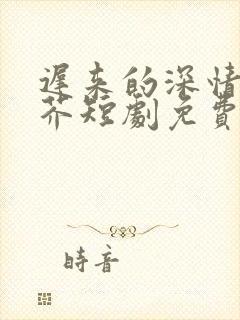 迟来的深情如草芥短剧免费观看全集