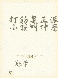 打的是正派原著小说叫什么