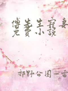 傅先生宠妻无度免费小说