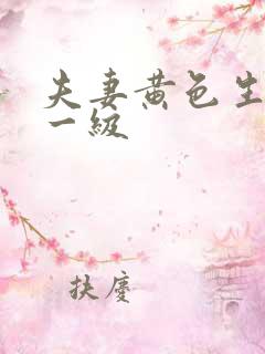 夫妻黄色生活片一级