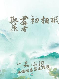 与君初相识小说原著