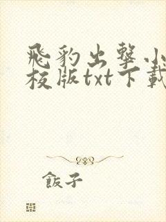 飞豹出击小说精校版txt下载