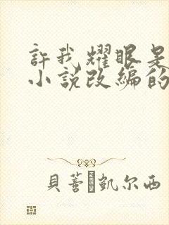 许我耀眼是什么小说改编的