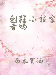 刺杀小说家2好看吗