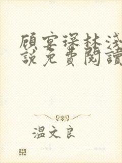 顾宴琛林浅月小说免费阅读最新章节