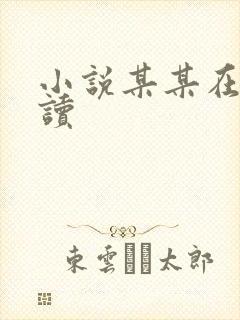 小说某某在线阅读