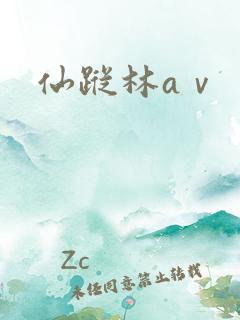 仙踪林aⅴ