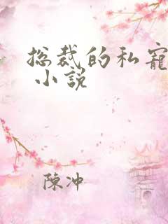 总裁的私宠甜妻 小说