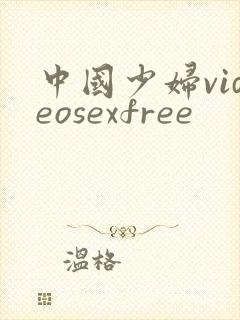 中国少妇videosexfree