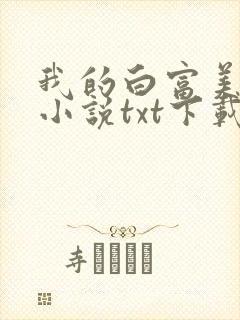 我的白富美老婆小说txt下载