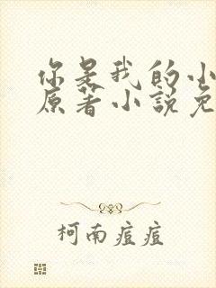 你是我的小确幸原著小说免费阅读