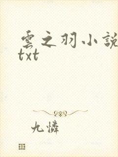 云之羽小说原著txt