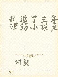 我追了三年的许津的小说免费阅读