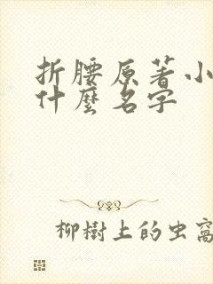 折腰原著小说叫什么名字