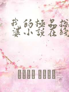 我的极品总裁老婆小说在线阅读