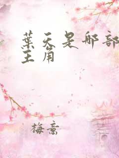 叶天是哪部小说主角