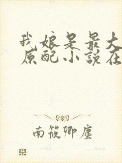 我娘是最大方的原配小说在线阅读