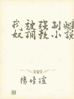 我被强制雌堕肉奴调教小说