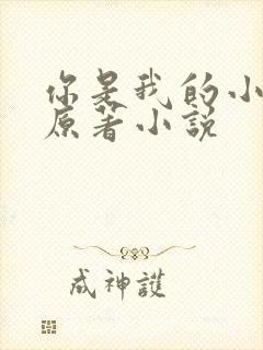 你是我的小确幸原著小说