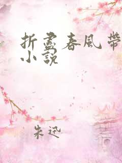 折尽春风带月归小说