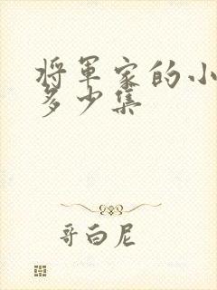 将军家的小娘子多少集