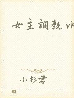 女主调教 vk