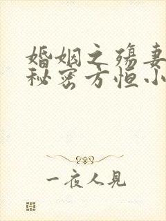 婚姻之殇妻子的秘密方恒小说在线阅读