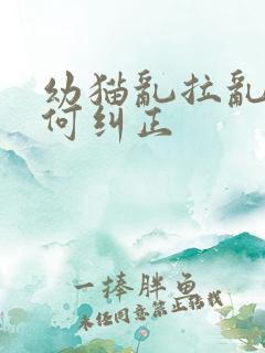 幼猫乱拉乱尿如何纠正