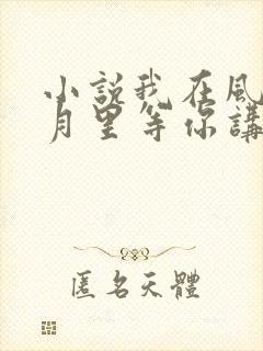 小说我在风花雪月里等你讲的什么