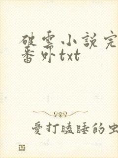 破云小说完整版番外txt
