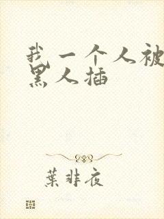 我一个人被几个黑人插