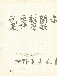 我要离开你歌词是什么歌